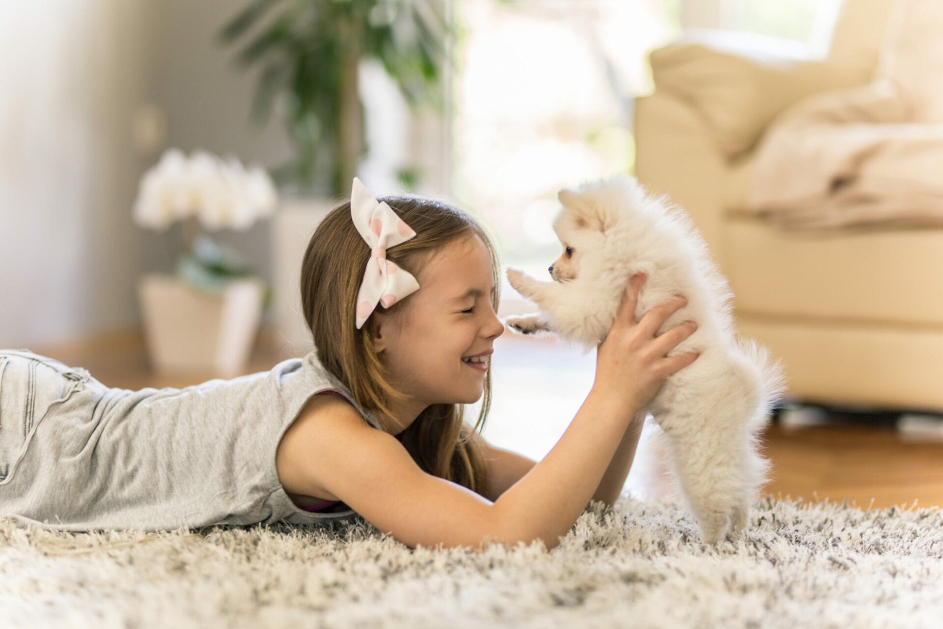 Girl playing with a Pomeranian puppy